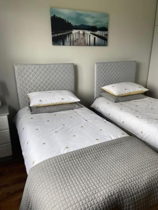 'Little Acre' Perfect For Business Or Pleasure Διαμέρισμα Portadown Εξωτερικό φωτογραφία