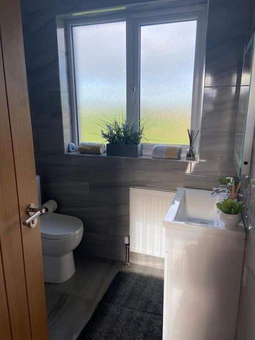 'Little Acre' Perfect For Business Or Pleasure Διαμέρισμα Portadown Εξωτερικό φωτογραφία